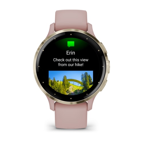 Garmin Venu 3S розовые с золотистым безелем 010-02785-03 от прозводителя Garmin