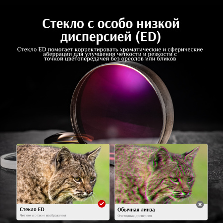 Бинокль Eyeskey Wind ED-8x32 EyeS-B141 от прозводителя Eyeskey