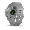 Garmin Venu 2 Plus - 43 мм Премиум-функции | Silver Stainless Steel Bezel With Powder Grey Case And Silicone Band
